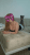 deniz2
