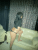 ozlem7