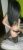 Sıhhiye Esmer Escort SEDA - Image 2