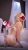 Çankaya Turangüneş Escort Bayan LALE - Image 1
