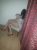 ozlem5