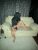 ozlem8