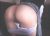 asli2