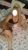 hazal3