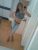 meric18