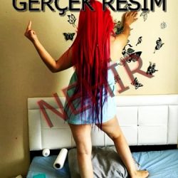 nehir1