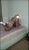 Çankaya Turangüneş Escort DİLARA - Image 3