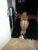 merve2