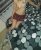 gunes4