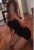 Maltepe Escort Bayan İLKİM - Image 2